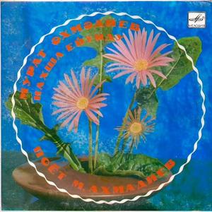 Тойлар Мубарәк