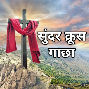 सुंदर क्रूस गाछा