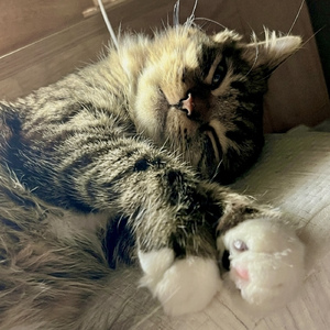 언제나 맑음 뒤엔 흐림