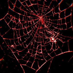 Life is movie（Prod.AIHS）