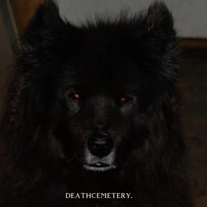 i see you in everything