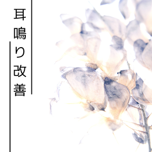 磁気モーメント - #3