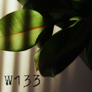 Terq Brown (Endrew Dub Relapse)