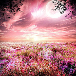 失真岁月(cover 石磊4ROCK)