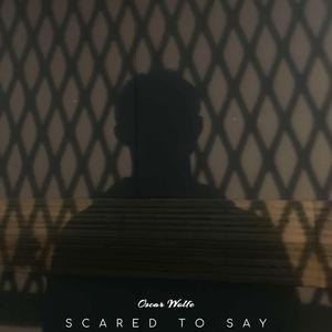 Scared To Say