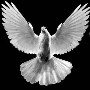 MaRwAn_0613- Tonushluq Natonux Qiz