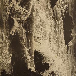 Coquille Saint Jaques