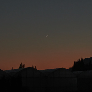 柔软的梦 (Outro)