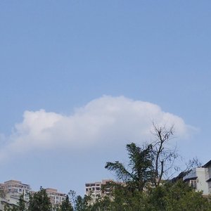 全是爱（四川方言版）