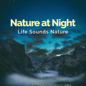 Melodic Stormy Tweets