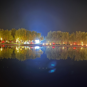 赌上世界的决定