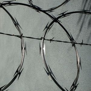 也许我根本不是水瓶座