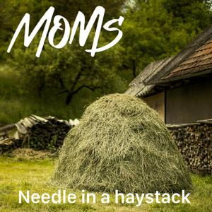 Needle in a haystack