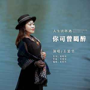 人生这杯酒你可曾喝醉 (DJ默涵版)