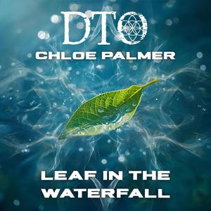 Leaf in the Waterfall