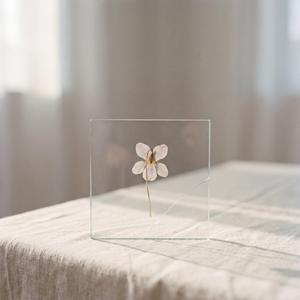 Fragile Kindness (feat. Lumi Aalto)