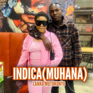 Muhana(Indica)