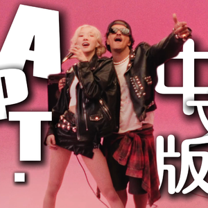 阿帕特APT.【国语中文】