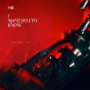 Zedd-I Want You To Know - (柳李 Atom Panda remix）