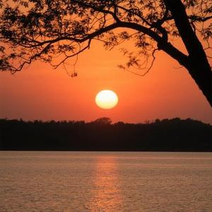 选择失忆 (Cover 季彦霖)