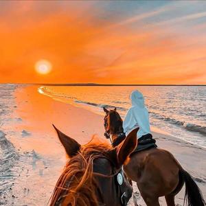 EA7抑郁女嗓 Wating For Love