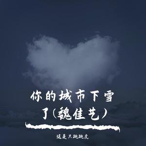 你的城市下雪了(魏佳艺深情版)