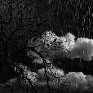 郁（Prod.No Birthday）