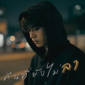 คืนที่ยังไม่ลา