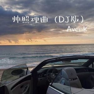 帅照硬曲（DJ版）