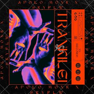 Trankilei (feat. Skyflw)