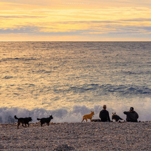 我不是你的宋冬野