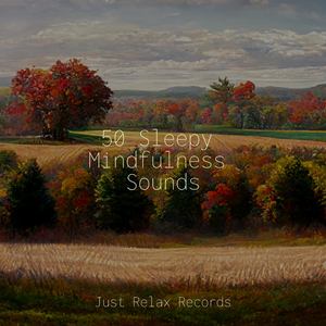Luminous Hideaway