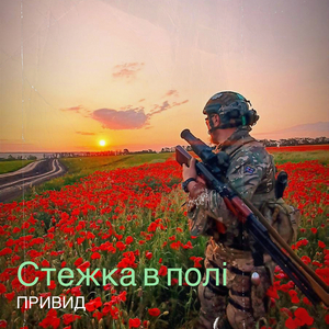 Стежка в полі