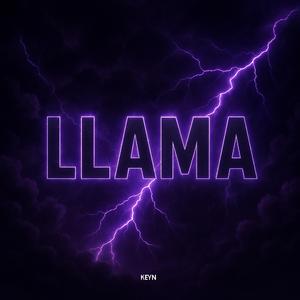 LLAMA