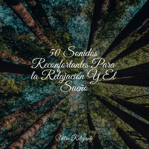 Descansando Suavemente