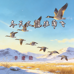 冬天大雁往南飞(而我却往北)
