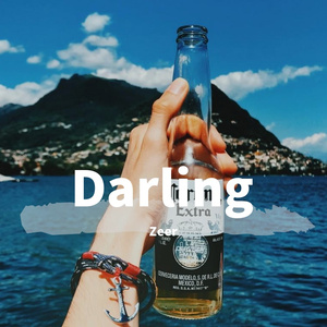 SEVENTEEN-SVT - Darl+ing_1（Zeer remix）