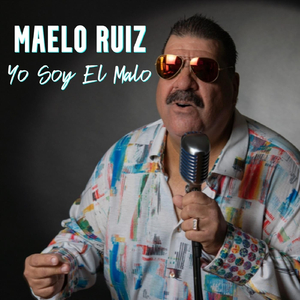 Yo Soy El Malo