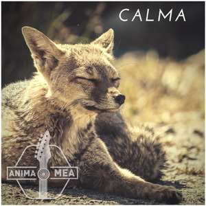 Calma