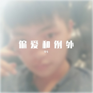 偏爱和例外