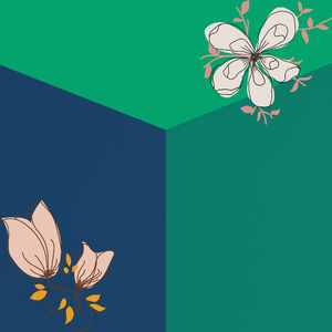 精彩早晨日出环境