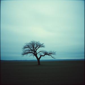 आता रडू नका, कारण ही ती वेळ नाही  by @orangemodern5992