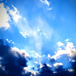 「頑張れ」って言葉は嫌だけど