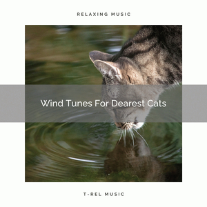 Complex Nature Tunes For Our Cats