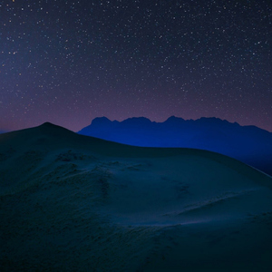 烟灰缸种向日葵(0.8x)