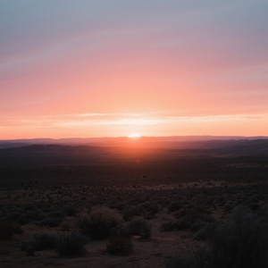 戦友の見た世界