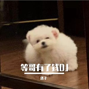 等哥有了钱DJ