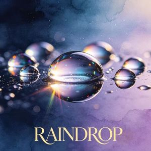 雨滴RAINDROP