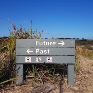 想要爱你的勇气