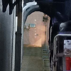 悔しいから進む